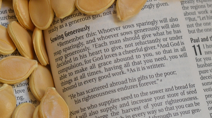 sowing-generosity-900x500