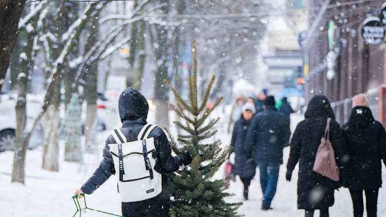 Nordic christmas man